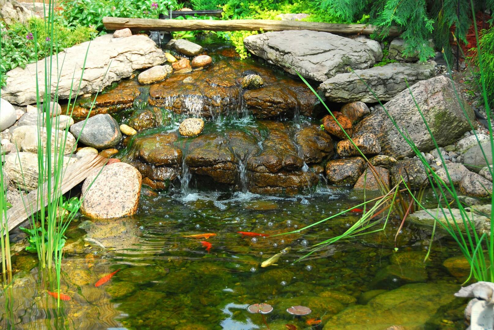 Sarasota Swimming Pool Contractors