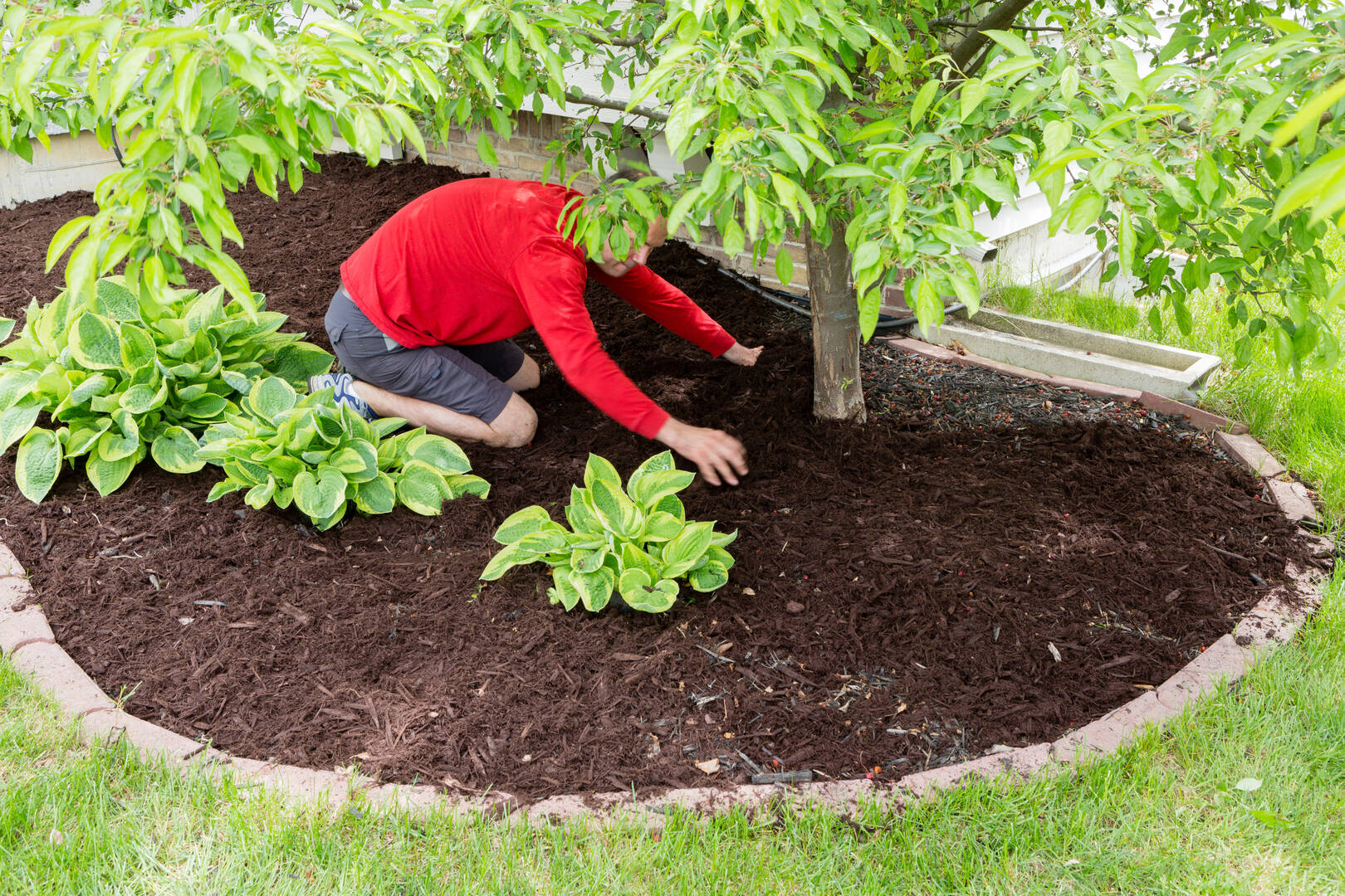 Veragreen LLC