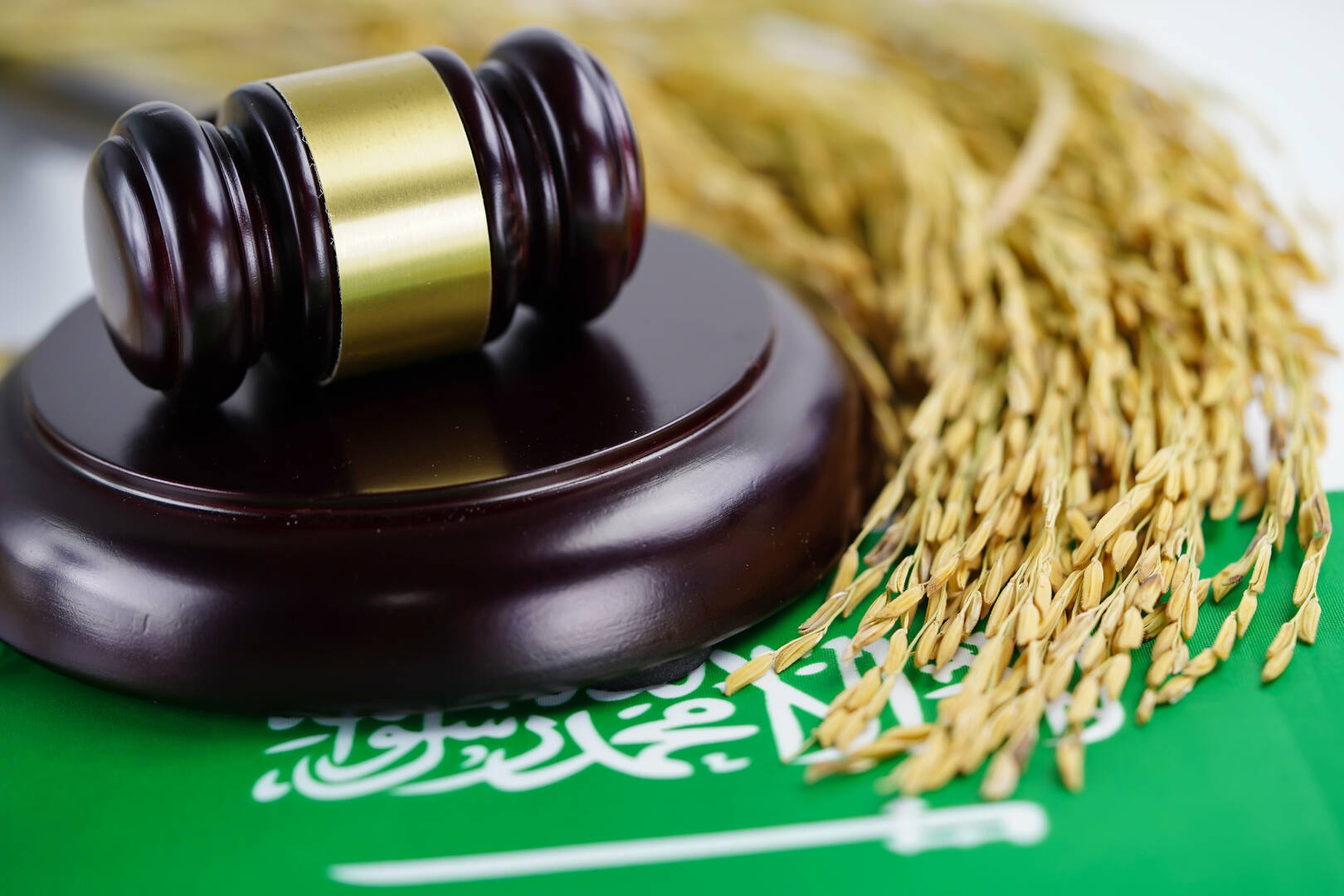 Employment Contracts Attorney Guilford County, NC
