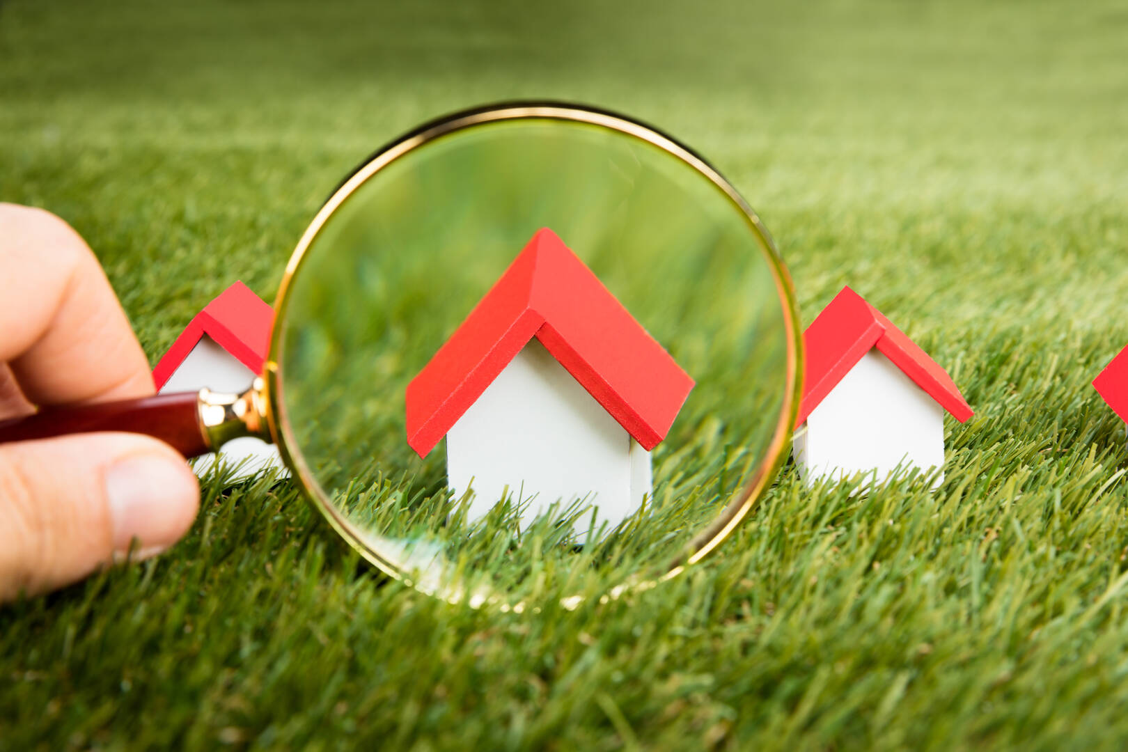 Commercial Real Estate Listing Services Auckland