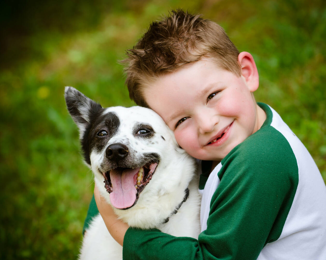 Veterinary Animal Hospital Darwin NT