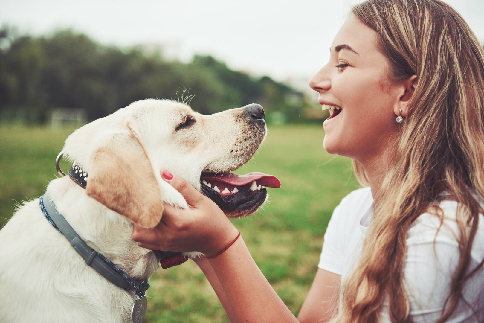 Pet Boarding Service Oswego IL