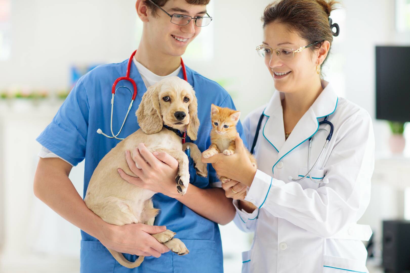 Animal Clinic Portales Nm