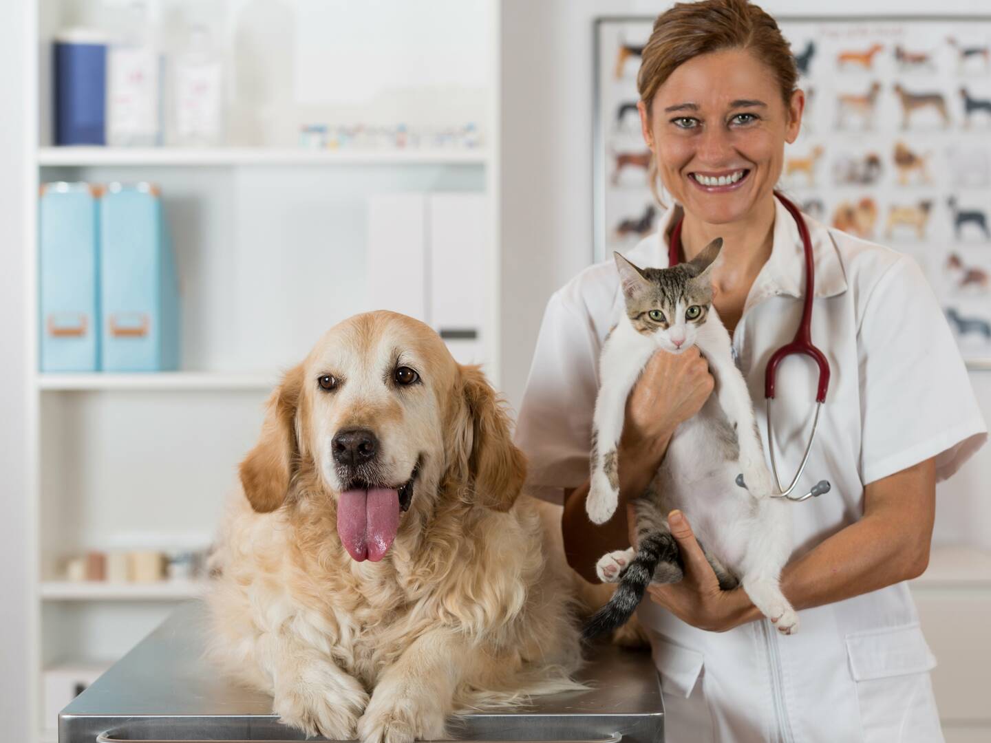 Great Southern Animal Hospital: Reliable Veterinarian Hospital in Columbus, OH