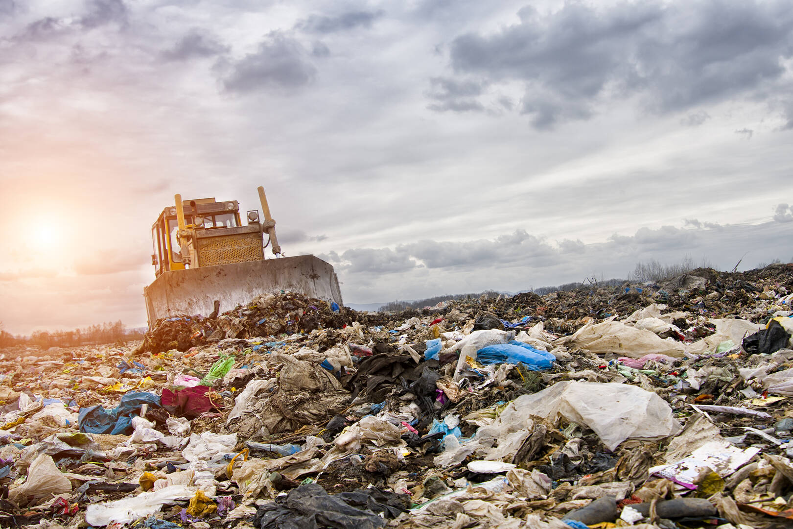 Dumpster Rentals Cape Coral Fl
